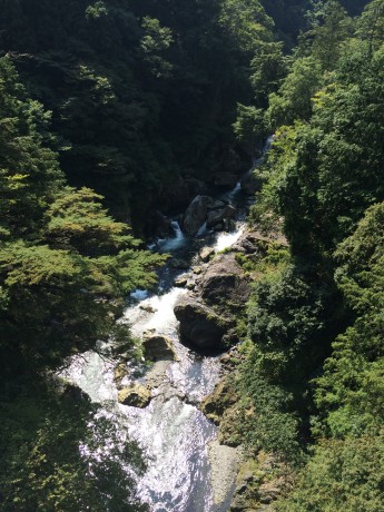 多摩川上流