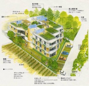 きなりの家 東京都日野市 東京 自然素材健康建築 Ambiex アンビエックス