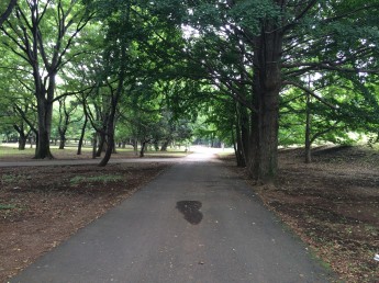 小金井公園