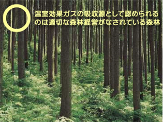 日本の森林の危機的な実情